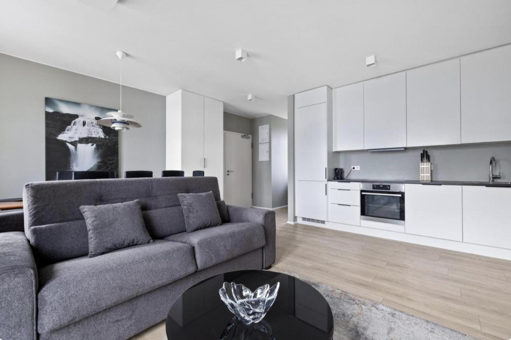 Cheerful Down Town Apartment Рейкьявик Экстерьер фото